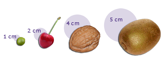 Staging Australian Pancreatic Cancer Genome Initiative